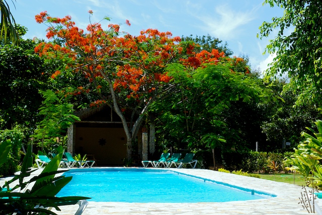 Bali Hai Cabarete Pool